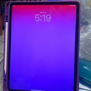 iPad Pro 12.9 4th Generation WiFi & Cellular 256 GB